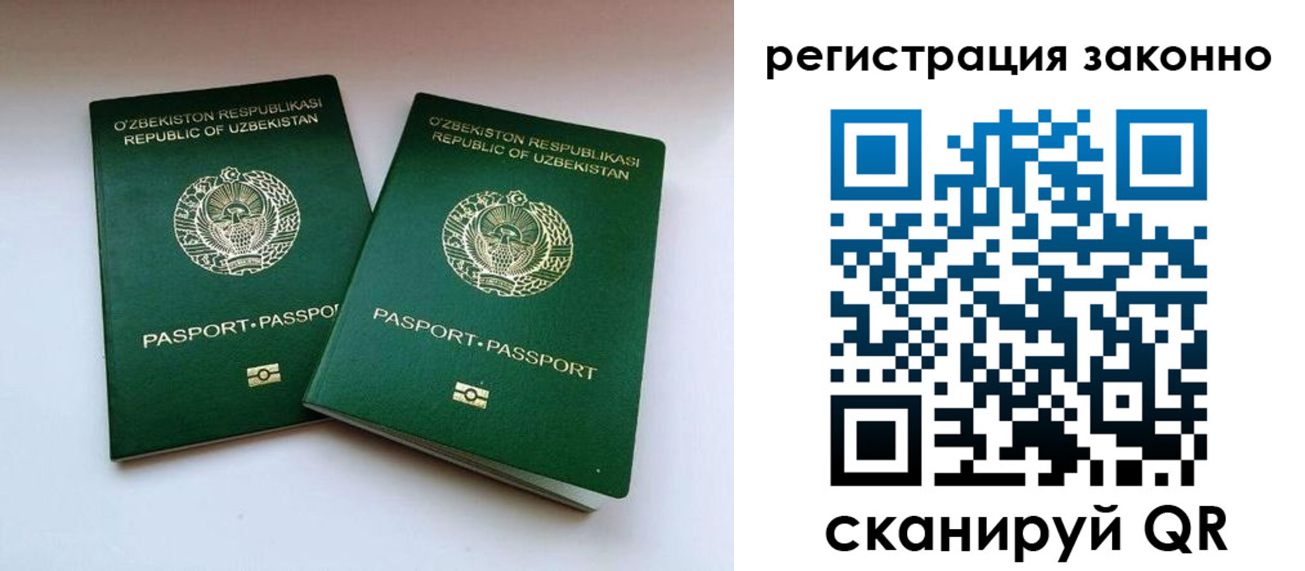 прописка гарантия в Дальнегорске